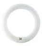 Osram T9 Lumilux Circline 32W - 840 Blanc Froid | 30cm