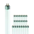 Lot 25x Philips T5 Short 8W - 640 Blanc Froid | 29cm