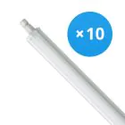 Voordeelpak 10x Philips LED Waterdichte Montagebalk Ledinaire WT060C 30W 3600lm - 840 Koel Wit | 120cm